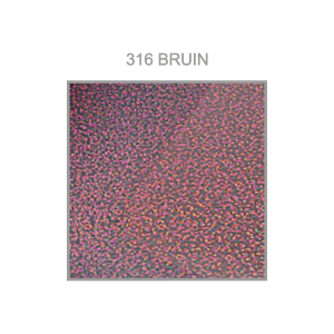 316-BRUIN-300x300