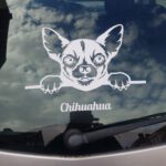 Sticker chihuahua